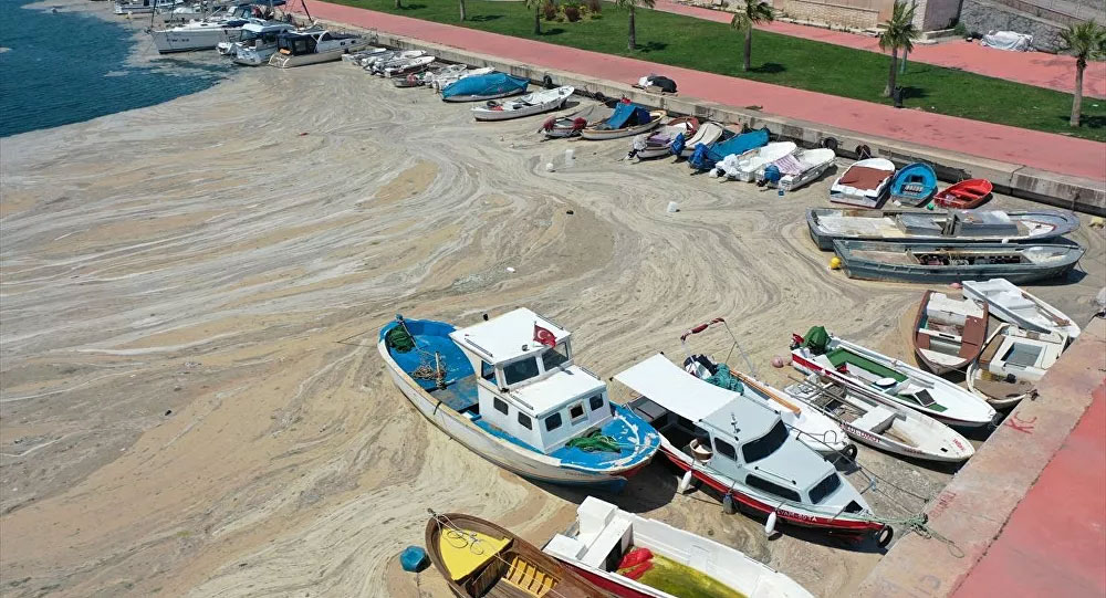 Müsilaj mağdurlarına 4.2 milyon liralık destek