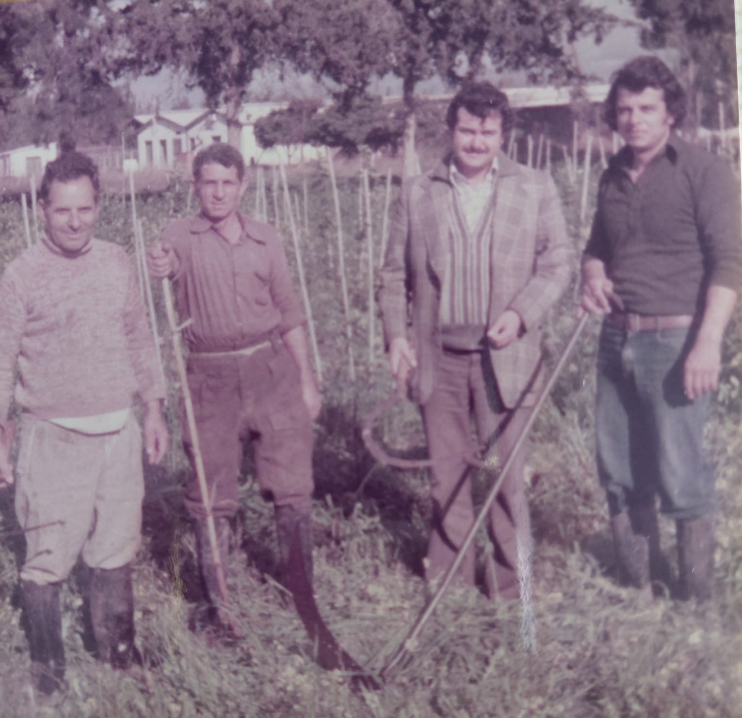 “Çiftçinin Saati" ile geçen 50 yıl: Sözal Gürçınar
