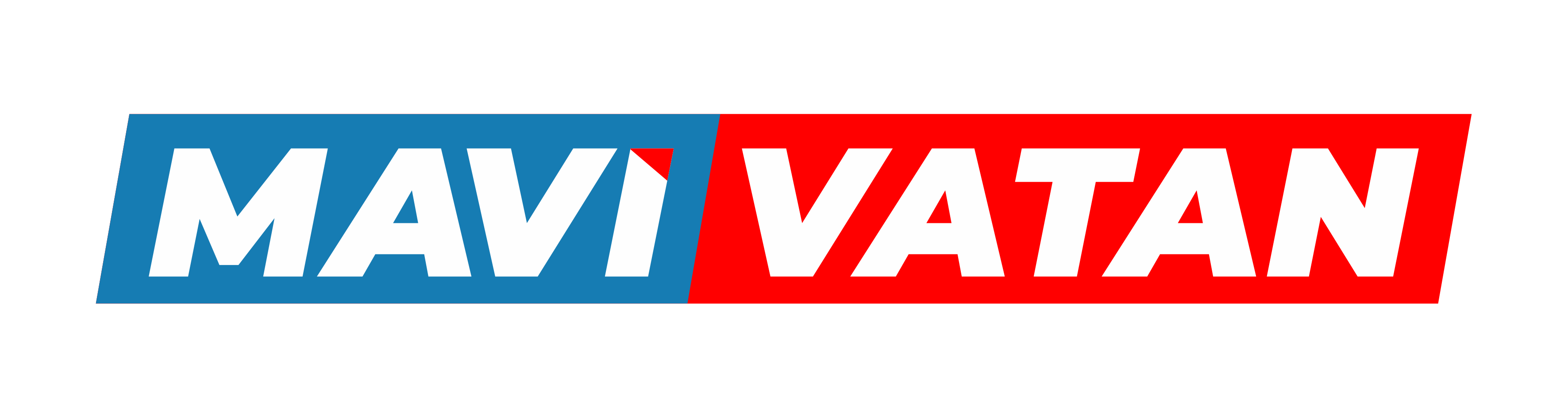 Mavi Vatan Gazetesi