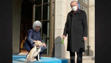  fotoğrafı